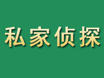 弋江市私家正规侦探